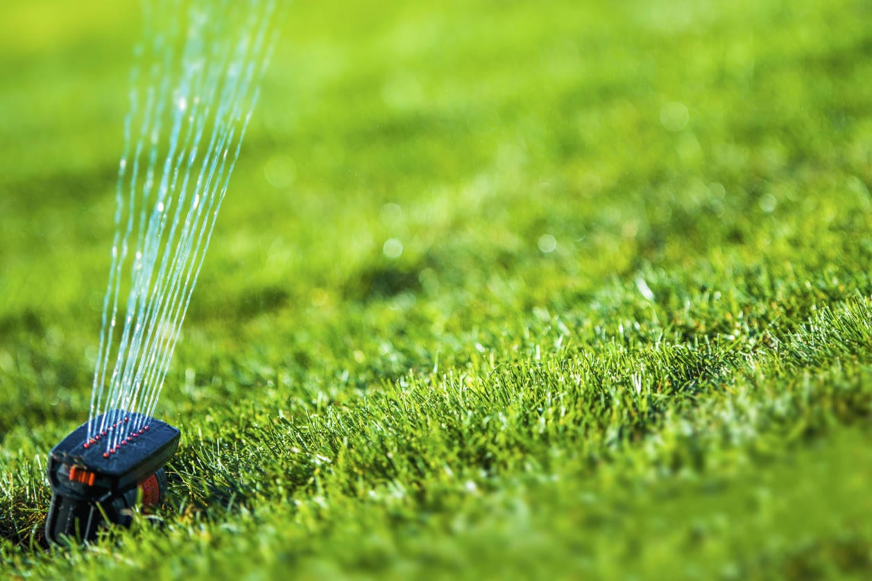 Conserve Water With Your Irrigation System