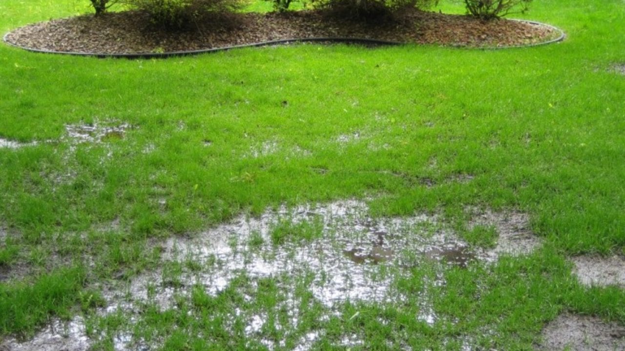 How To Get Rid of Standing Water in Your Yard?