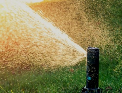 Should You Install Sprinklers Before Landscaping?