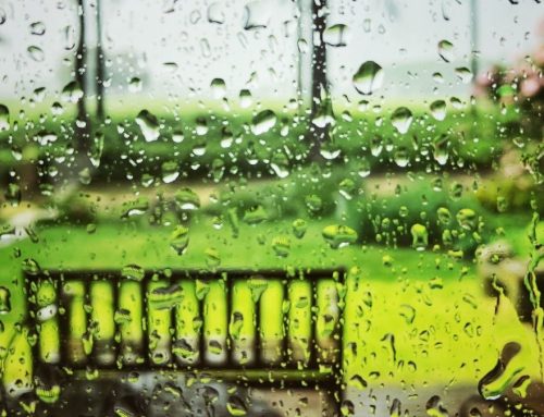 Are Rain Sensors Worth It?