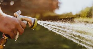 What Else Can I Automate Along With My Lawn Watering?