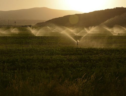 What is the Most Wasteful Irrigation Method?