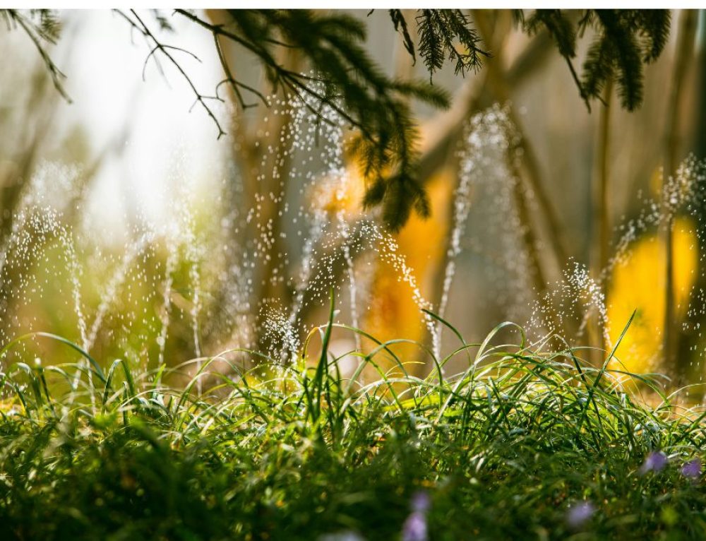 What's a Check Valve for a Sprinkler System? Pioneer Sprinklers