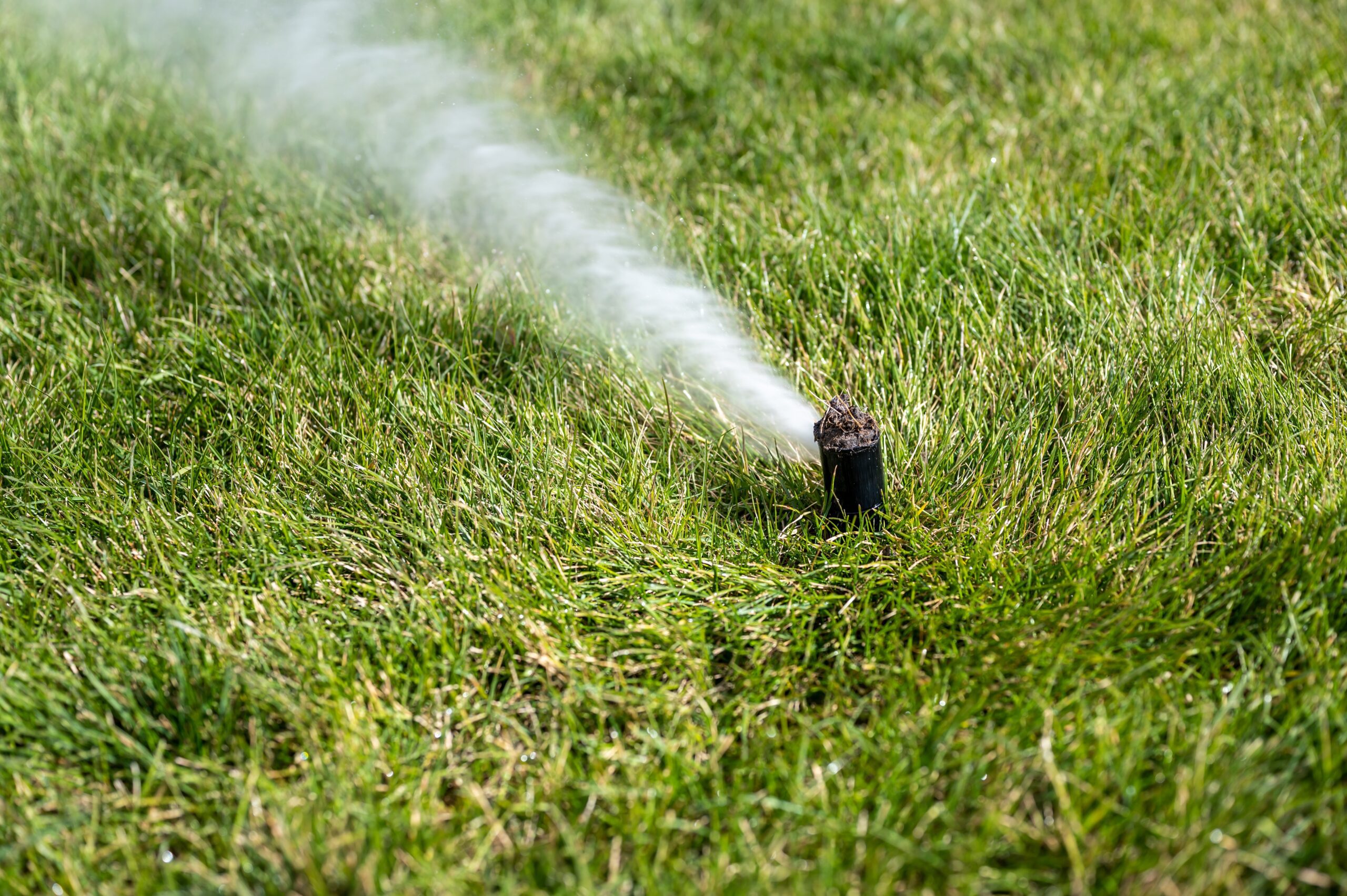 Do You Really Need to Blow Out Your Sprinkler System Every Fall?
