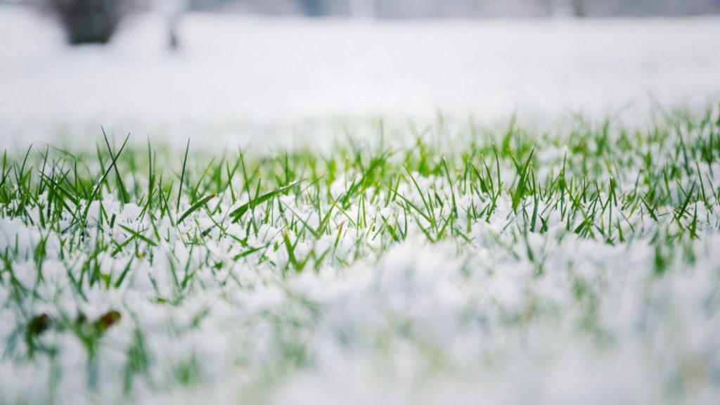 Winter Water Management: How Your Landscape Still Benefits from Smart Irrigation Planning in the Off-Season