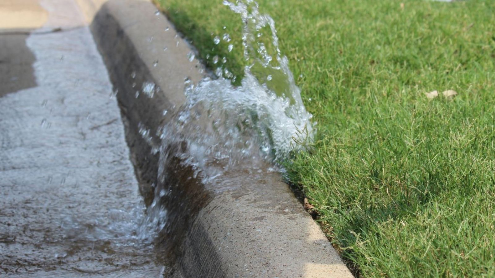 Common Sprinkler Start-Up Problems and How to Fix Them